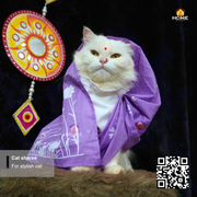 cat sharee_img_8