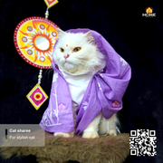 cat sharee_img_11