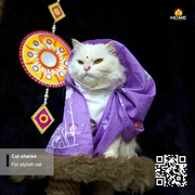 cat sharee_img_10
