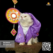 cat sharee_img_13