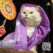 cat sharee_img_15