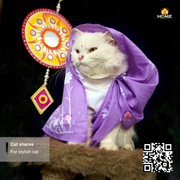 cat sharee_img_16