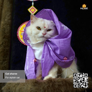 cat sharee_img_14