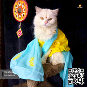 cat sharee_img_1