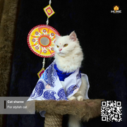 Cat sharee_img_2