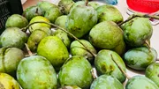 সাতক্ষীরার গোবিন্দভোগ আম (Gobindovog Mango)_img_3