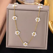 White daisy flowers_img_2