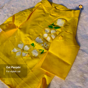 cat panjabi_img_6