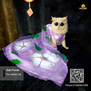 Cat gown_img_4