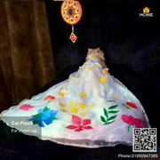Cat gown_img_3