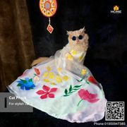 Cat gown_img_4