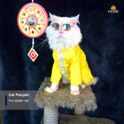 cat panjabi(3,3.5,4 kg)_img_0