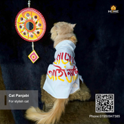 cat panjabi (7 kg)_img_4
