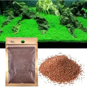 Carpeting seed 1 pack_img_0