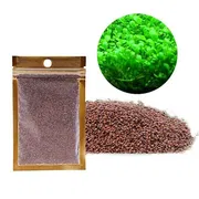 Carpeting seed 1 pack_img_1