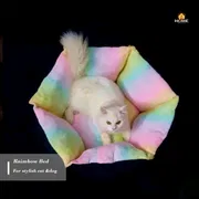 Cat bed_img_0