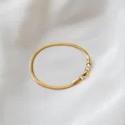 BESTSELLER ✨ Snakebone thick anklet_img_4