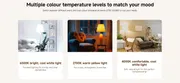 Xiaomi Smart LED Bulb (White and Color)_img_5