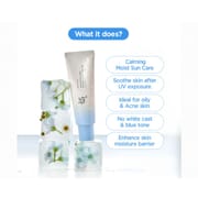 Beauty of Joseon Relief Sun Aqua-Fresh : Rice + B5 (50ml)_img_1