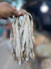 ছুরি শুঁটকি ছোট সাইজ  (Churi Shutki)_img_0
