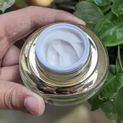 Baursde Moisturizing & Whitening Day Cream_img_2