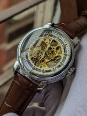 Patek Philiippe Mechanical Watch_img_0