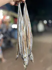 ছুরি শুঁটকি বড় সাইজ (Churi)_img_0