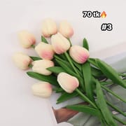 Tulip-NS4613_img_4