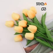 Tulip-NS4613_img_6