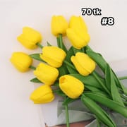 Tulip-NS4613_img_8