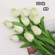 Tulip-NS4613_img_9