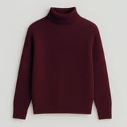 Premium Ribbed Turtleneck Sweater_img_0