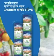 এগ্রোস্যাল মালচিং পেপার।  Agrosal mulching paper_img_0