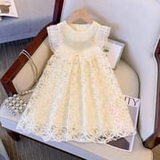 Kids Girls Princess Lace Skirt Party Dress (1 to 8 years)_img_2