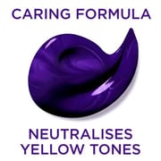 L’Oreal Elvive Colour Protect Anti-Brassiness Purple Shampoo 200ml_img_1