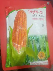 হাইব্রিড ভুট্টার বীজ বিপ্লব  ৫৫ ( এইচ পি - ৪৪৪ )   । Hybrid corn seed Biplob 55 ( H P - 444 )_img_0