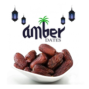 আম্বার খেজুর ( Amber Khejur Date )_img_0