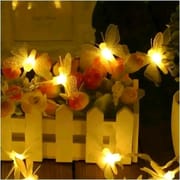 Butterfly LED Lights🦋_img_0