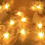 Butterfly LED Lights🦋_img_1