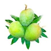 আম (হাড়িভাঙ্গা) কেমিক্যাল মুক্ত_img_1