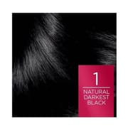 L’Oreal Excellence Creme Triple Care Colour Natural Darkest Black 1_img_1
