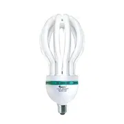 BSM Lotus Energy Light (Screw) 45 Watt_img_0