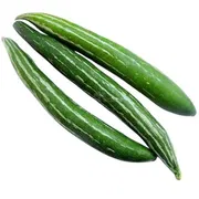 Chichinga (Snake Gourd) 500gm_img_0