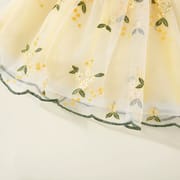 Baby Girls Ruffle Sleeve Floral Embroidered Summer Princess Dress (6 Months to 3 Years)_img_5
