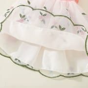 Baby Girls Ruffle Sleeve Floral Embroidered Summer Princess Dress (6 Months to 3 Years)_img_11