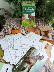 Animal Fruits Flash Card_img_2