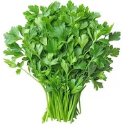 Coriander Leaves (Dhonia Pata) - 100 gm_img_0