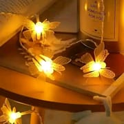 Butterfly LED Lights🦋_img_3