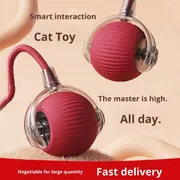 Pet Toy Ball_img_2