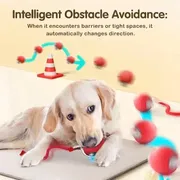 Pet Toy Ball_img_4